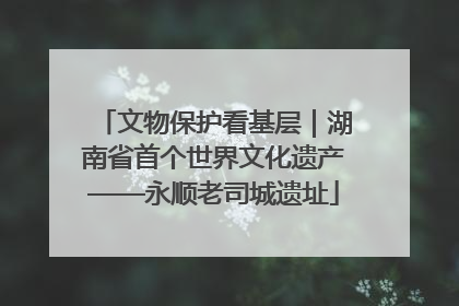 文物保护看基层｜湖南省首个世界文化遗产——永顺老司城遗址