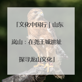 文化中国行｜山东岚山：在尧王城遗址探寻龙山文化