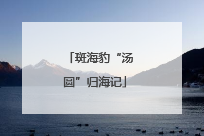 斑海豹“汤圆”归海记