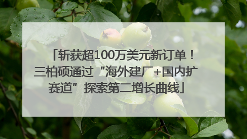 斩获超100万美元新订单！三柏硕通过“海外建厂+国内扩赛道”探索第二增长曲线