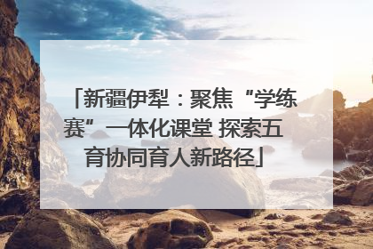新疆伊犁：聚焦“学练赛”一体化课堂 探索五育协同育人新路径