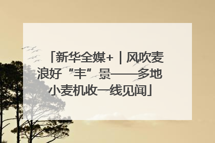 新华全媒+｜风吹麦浪好“丰”景——多地小麦机收一线见闻