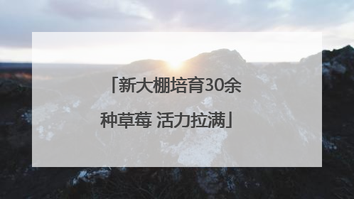 新大棚培育30余种草莓 活力拉满