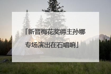 新晋梅花奖得主孙娜专场演出在石唱响