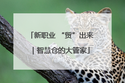新职业 “贸”出来｜智慧仓的大管家