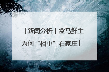 新闻分析丨盒马鲜生为何“相中”石家庄
