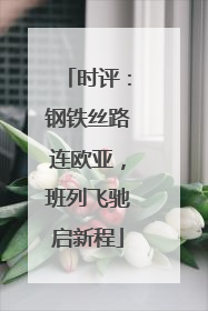时评：钢铁丝路连欧亚，班列飞驰启新程