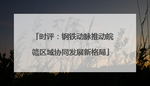 时评：钢铁动脉推动皖赣区域协同发展新格局