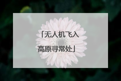 无人机飞入高原寻常处