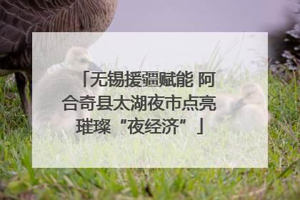 无锡援疆赋能 阿合奇县太湖夜市点亮璀璨“夜经济”