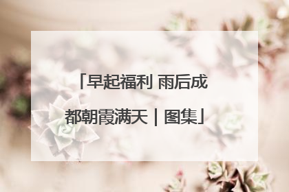 早起福利 雨后成都朝霞满天｜图集