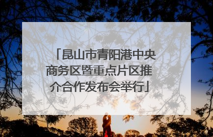 昆山市青阳港中央商务区暨重点片区推介合作发布会举行
