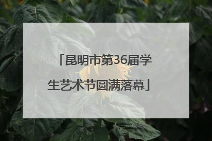 昆明市第36届学生艺术节圆满落幕