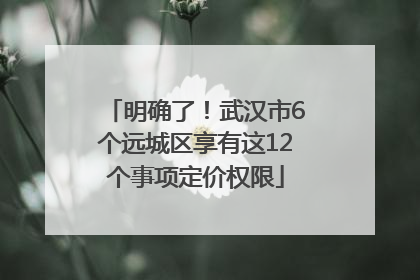 明确了！武汉市6个远城区享有这12个事项定价权限