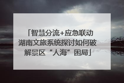 智慧分流+应急联动 湖南文旅系统探讨如何破解景区“人海”困局
