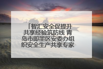 智汇安全促提升 共享经验筑防线 青岛市即墨区安委办组织安全生产共享专家现场观摩学习活动