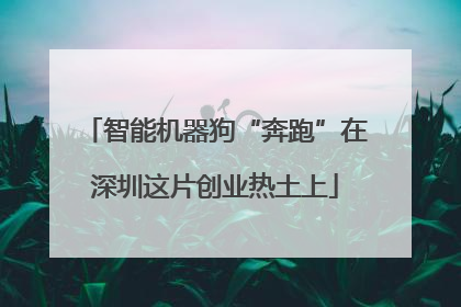 智能机器狗“奔跑”在深圳这片创业热土上