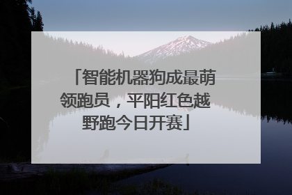 智能机器狗成最萌领跑员，平阳红色越野跑今日开赛