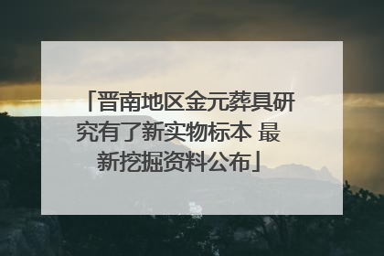晋南地区金元葬具研究有了新实物标本 最新挖掘资料公布