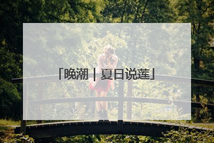 晚潮｜夏日说莲