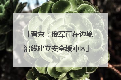 普京：俄军正在边境沿线建立安全缓冲区