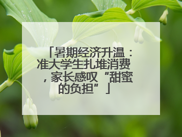 暑期经济升温：准大学生扎堆消费，家长感叹“甜蜜的负担”