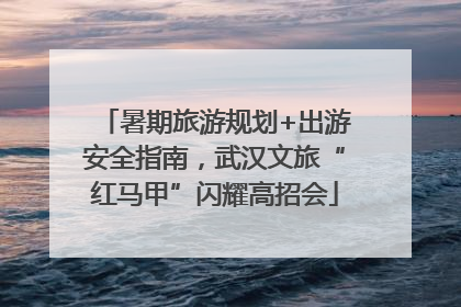 暑期旅游规划+出游安全指南，武汉文旅“红马甲”闪耀高招会