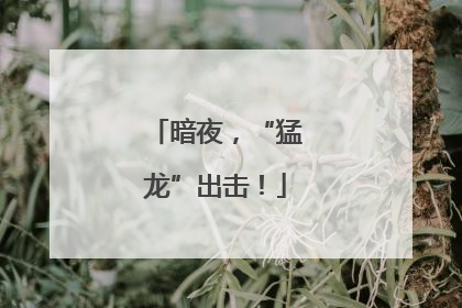 暗夜，“猛龙”出击！