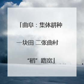 曲阜：集体耕种一块田 二张曲村“稻”路宽