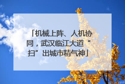 机械上阵、人机协同，武汉临江大道“扫”出城市精气神