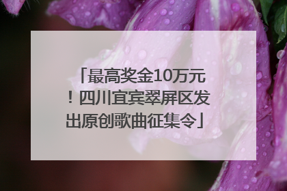 最高奖金10万元！四川宜宾翠屏区发出原创歌曲征集令