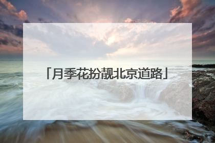 月季花扮靓北京道路