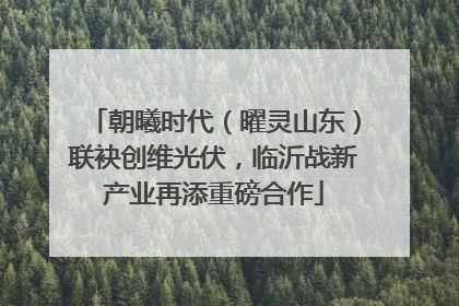 朝曦时代（曜灵山东）联袂创维光伏，临沂战新产业再添重磅合作