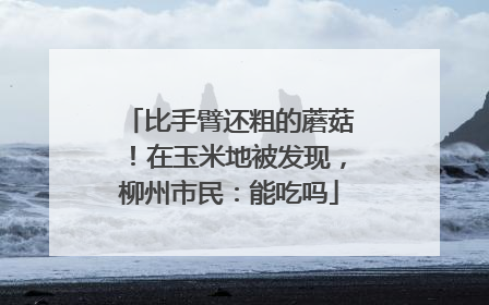 比手臂还粗的蘑菇！在玉米地被发现，柳州市民：能吃吗