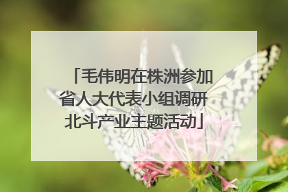 毛伟明在株洲参加省人大代表小组调研北斗产业主题活动