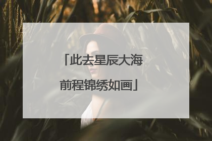 此去星辰大海 前程锦绣如画