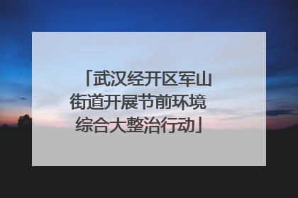 武汉经开区军山街道开展节前环境综合大整治行动