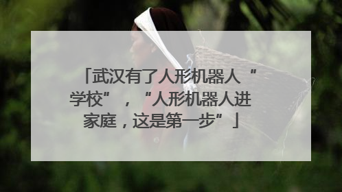 武汉有了人形机器人“学校”，“人形机器人进家庭，这是第一步”