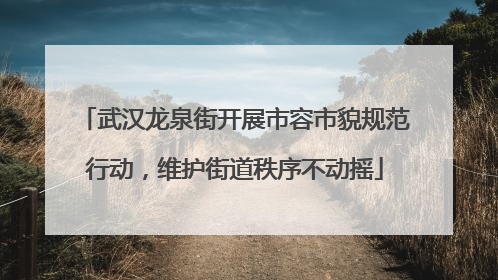 武汉龙泉街开展市容市貌规范行动，维护街道秩序不动摇