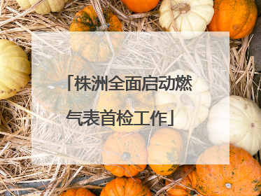 株洲全面启动燃气表首检工作