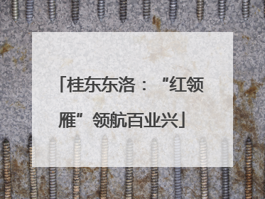 桂东东洛：“红领雁”领航百业兴