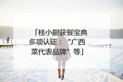 桂小厨获餐宝典多项认证：“广西菜代表品牌”等