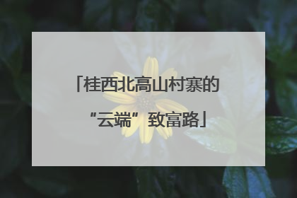 桂西北高山村寨的“云端”致富路