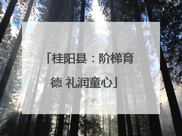桂阳县：阶梯育德 礼润童心