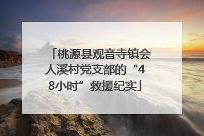 桃源县观音寺镇会人溪村党支部的“48小时”救援纪实