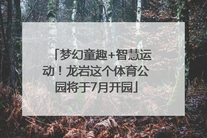 梦幻童趣+智慧运动！龙岩这个体育公园将于7月开园