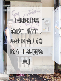 槐树出墙“滴胶”黏车，两社区合力消除车主头顶隐患