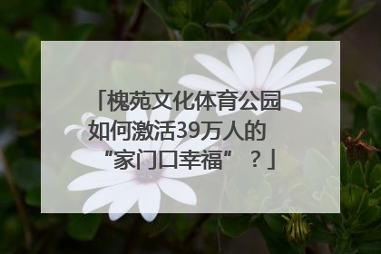 槐苑文化体育公园如何激活39万人的“家门口幸福”？