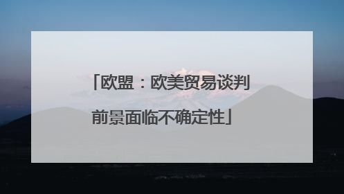 欧盟：欧美贸易谈判前景面临不确定性