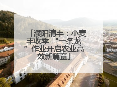 濮阳清丰：小麦丰收季 “一条龙”作业开启农业高效新篇章